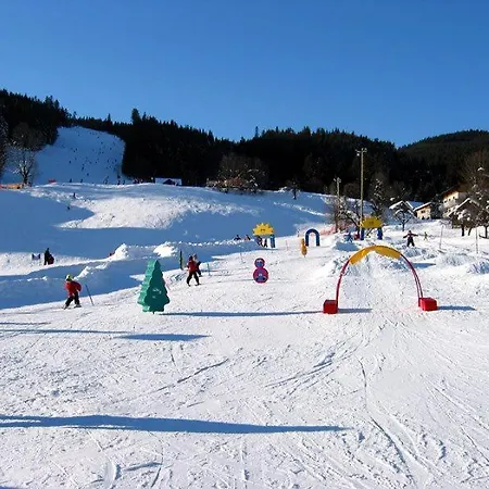 Apartment Edelweiss, Amsterdam 4-6 Pers Gosau