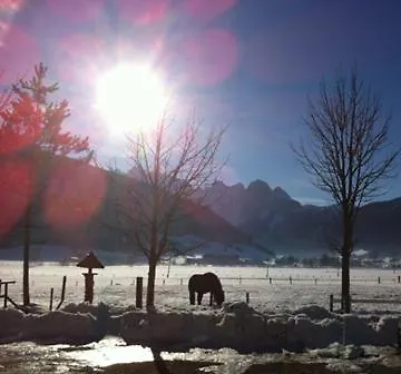 Edelweiss, Amsterdam 4-6 Pers Gosau