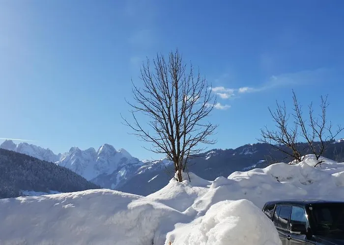 Edelweiss, Amsterdam 4-6 Pers Apartment *