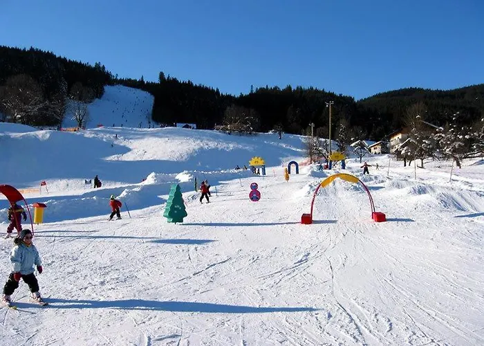 Apartment Edelweiss, Amsterdam 4-6 Pers Gosau